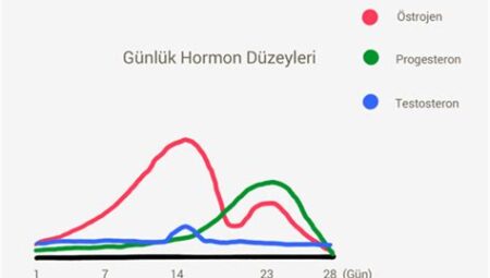 Vitaminler ve Hormonal Denge: Kadın ve Erkek Sağlığında Hormonların Rolü